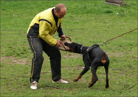 Training in Prague 10/2007